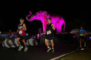 BIB: 
                            <button type="button" onclick="openModal(26543531)" class="btn btn-primary btn-sm float-right btn-popup" data-toggle="modal" data-target=".modal-high-quality">
                        <i class="fas fa-shopping-cart"></i> Add to Cart
                    </button>
                                            <button type="button" onclick="isThisMe(26543531, true)" class="btn btn-success btn-sm float-right btn-popup btn-isme hidden" data-toggle="tooltip" data-placement="bottom" title="นี่คือรูปของคุณใช่ไหม คลิกที่นี่เพื่อเอาเข้าอัลบั้ม">
                        <i class="fas fa-plus"></i> Add to album
                    </button>
                    <button type="button" onclick="isThisMe(26543531, false)" class="btn btn-warning btn-sm float-right btn-popup btn-isnotme hidden">
                        <i class="fas fa-ban"></i> Remove from album
                    </button>